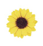 Têtes de tournesol, 3,5cm ø