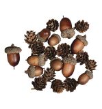 Cônes de gland Mix