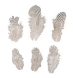 Plume déco Motif de zèbre