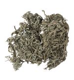 Mousse de lichen