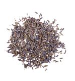 Blüten - Lavendel