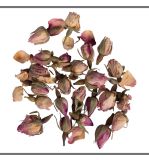 Fleurs - Boutons de roses rose complets