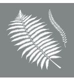 Pochoir Botanic