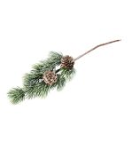 Fir twig with cones