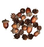 Cônes de gland Mix