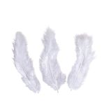 Decorative feathers, white