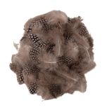 Decorative feather