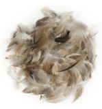 Mélange de plumes