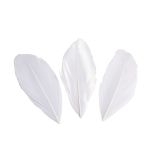 Plumes coupées, blanc