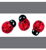 Petites pièces en bois: Coccinelle