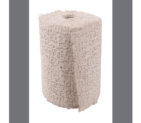 Modelling tissues