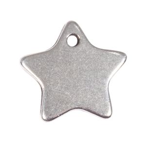 Metallic pendant Star