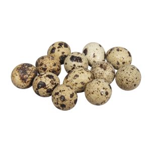 Deco Quail eggs, hollow