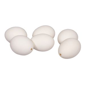 Deco Chicken eggs, hollow