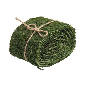 Moss ribbon