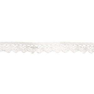 Cotton- Border  Jasmina