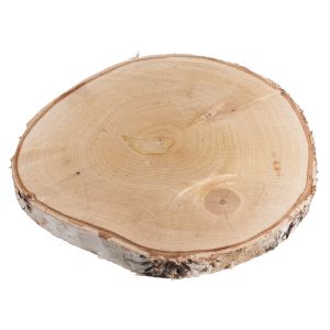 Birch wood slice, 25-28cm ø