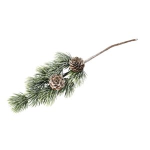 Fir twig with cones