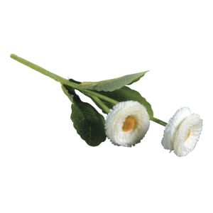 Daisy Pick