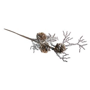 Larch cone twig