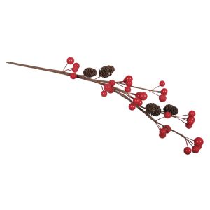 Berry twig with alder cone