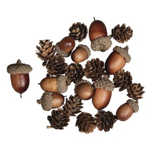 Acorn cone mix