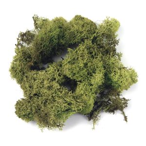 Icelandic moss