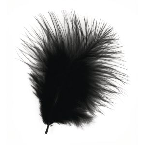 Plumes de décoration