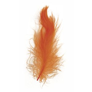 Decorative feather