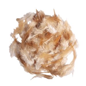 Mélange de plumes, 9 cm