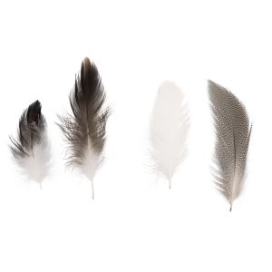 Feather mix