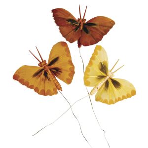 Papillon en plumes