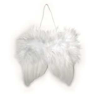 Angel's wings of feathers