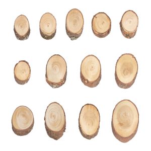 Pine wood slices, oval