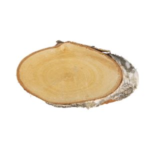 Birch disc, oval, natural