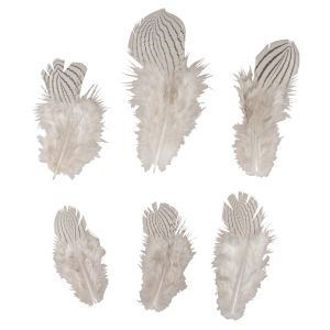 Decorative feathers zebra pattern
