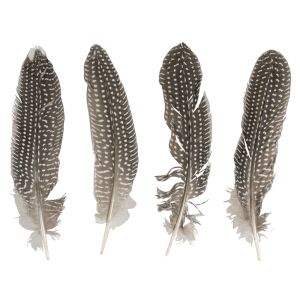 Decorative feathers