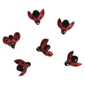 Polyresin ladybird