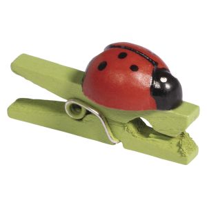 Ladybird on a wooden peg