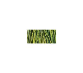 Raphia naturel, vert mai