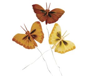 Papillon en plumes