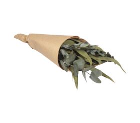 Botte d'eucalyptus av. manchette papier