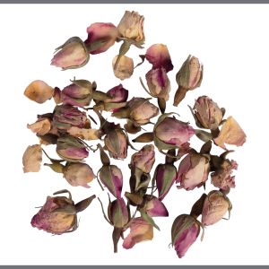 Blüten - Rosenknospen rosa ganz