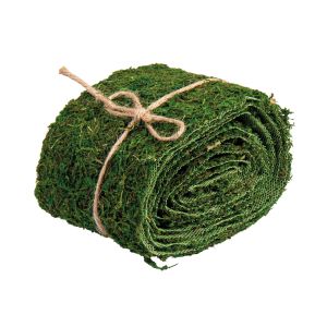 Moss ribbon