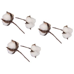 Fleurs de coton, 6cm ø