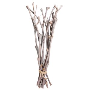 Botte de vignes