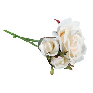 Pick Roses