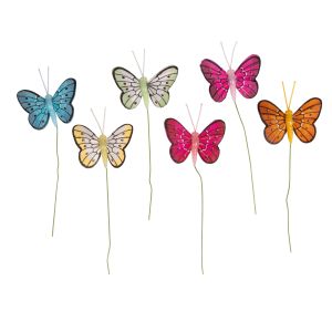 Butterfly of feathers