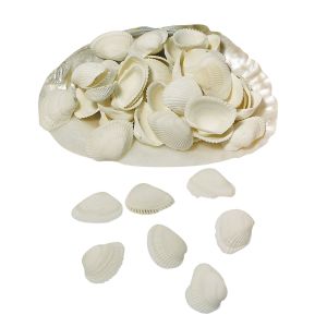 Sea shells