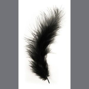 Flauschfeder